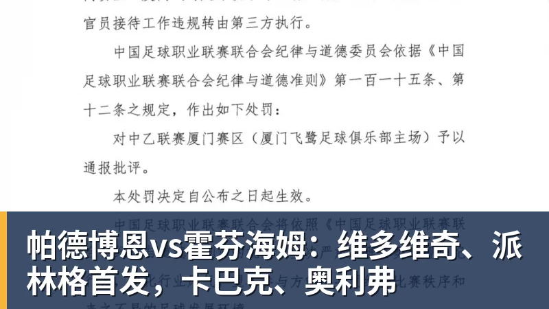 帕德博恩vs霍芬海姆：维多维奇、派林格首发，卡巴克、奥利弗